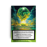 High Level Genetics - Plutonium - Indoor CBD Bl&uuml;ten...