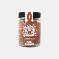 MedusaFilters - 100er Glas - ORGANIC