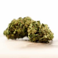 Herba di Berna - Oudoor CBD Bl&uuml;ten - Cannatonic - 45g